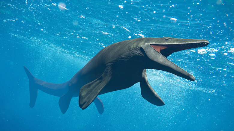 Artist rendering of a Basilosaurus