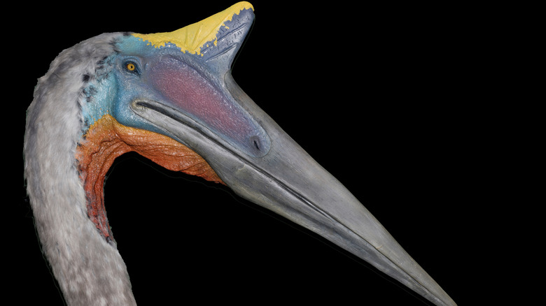 Model of Quetzalcoatlus northropi.