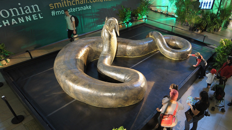 Attendees view a replica of the prehistoric Titanoboa