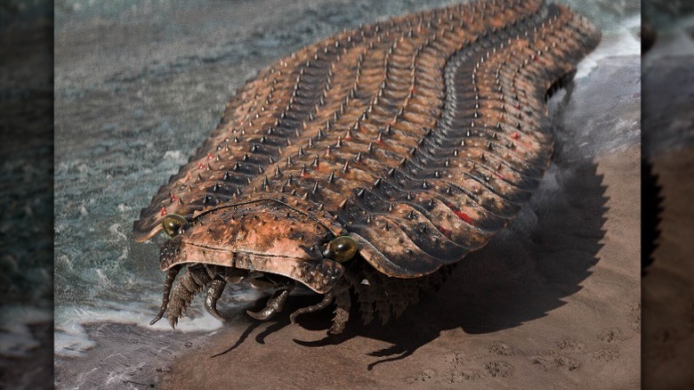 Arthlopeura is walking on the beach