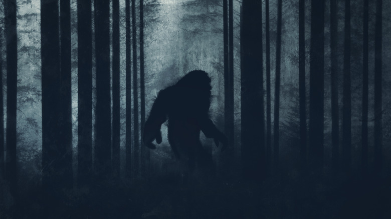 A large bipedal animal is walking in a dark forest