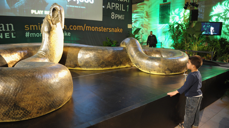 A child is looking at a Titanoboa model