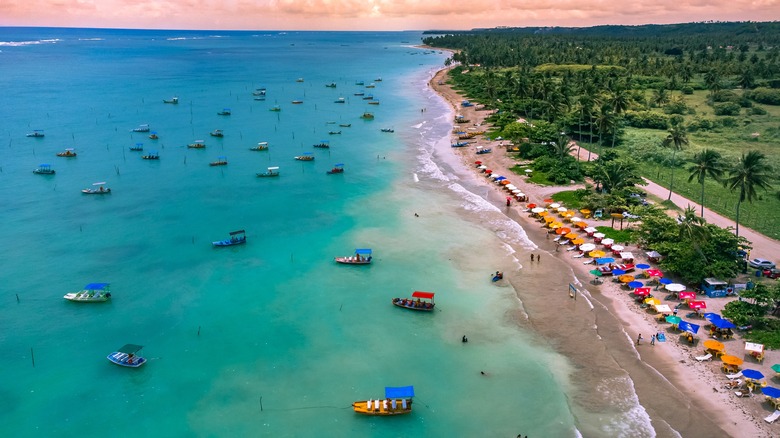 The coastline of northeastern Brazil