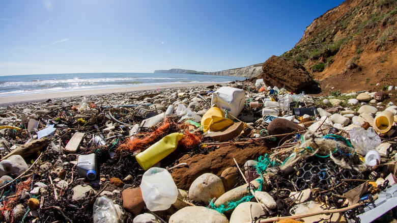 Countless pieces of trash washed up on a beach with the sun and waves in the distance