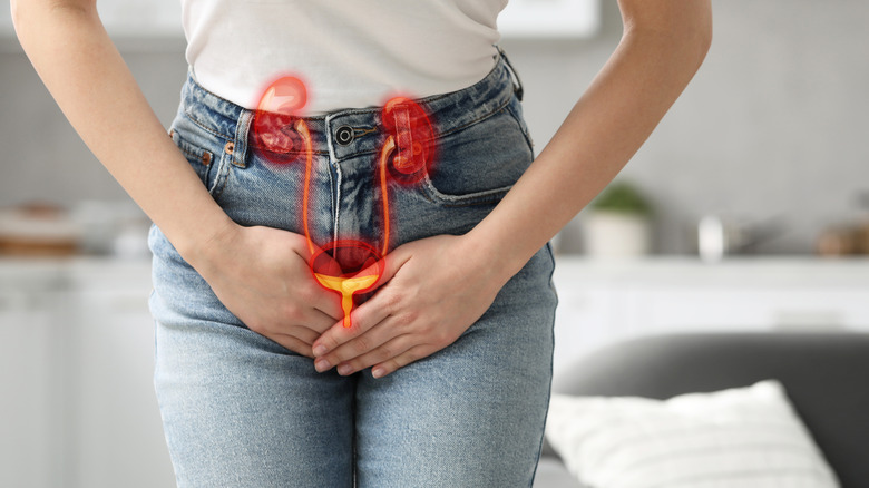 UTI abdominal pain with kidney overlay