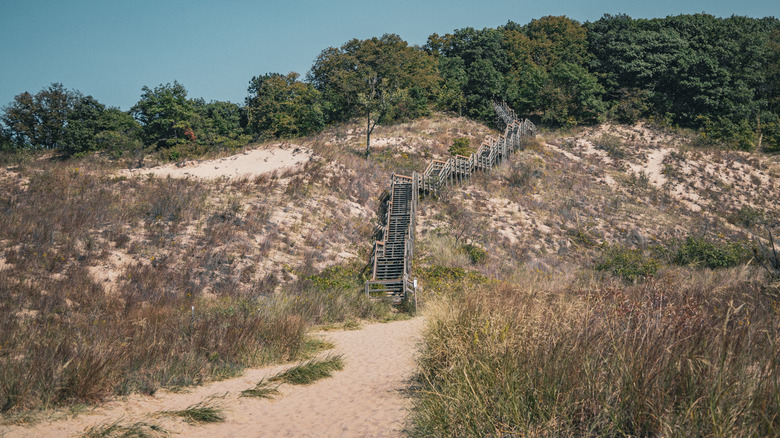 Stairs lead up a dune from a trail at Indiana Dunes National Park