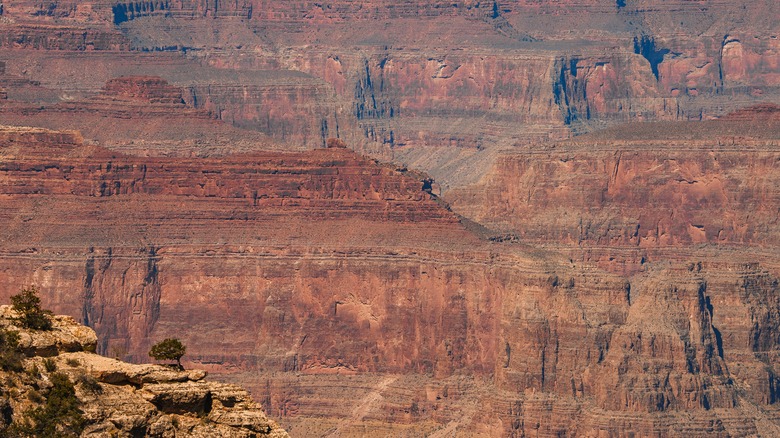 Sedimentary rock in the Grand Canyon