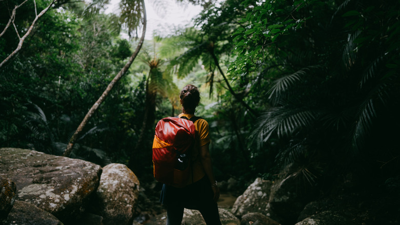 Rear view of a woman with a red backpack in a tropical forest