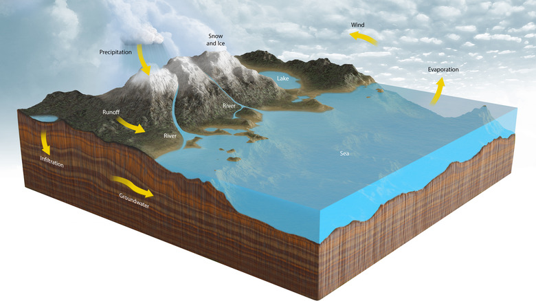 water cycle illustration