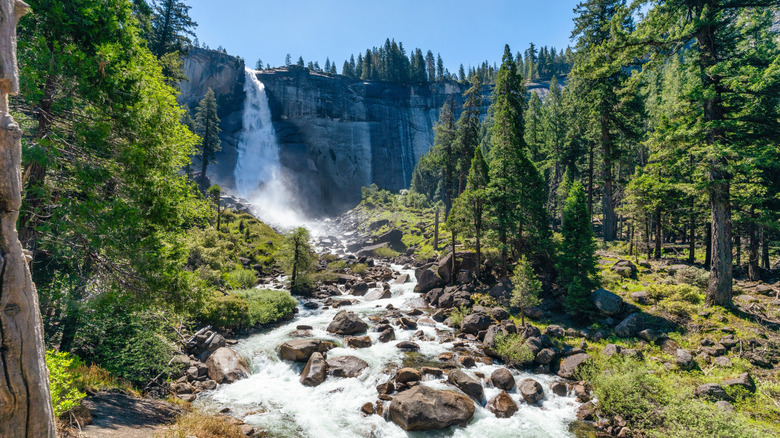 A view of a waterfall among trees in Yosemite National Park in California