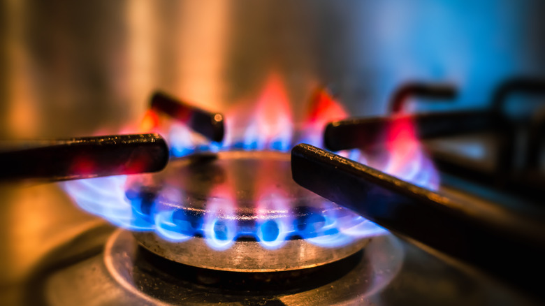 Red and blue flames of a gas stove