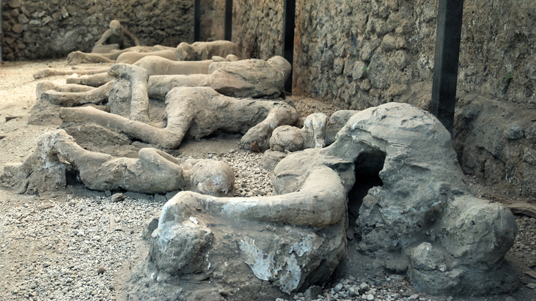 Series of Pompeii casts lined up on rocks and sand