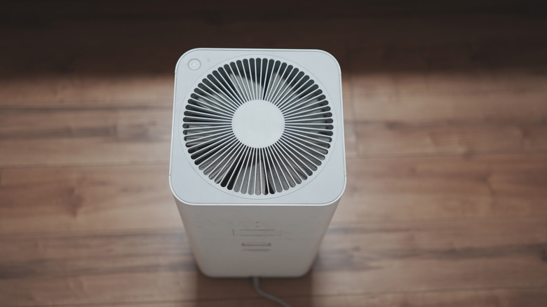 Air purifier fan