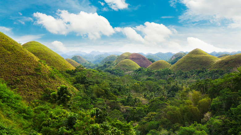 Aerial view of forest in Philippines