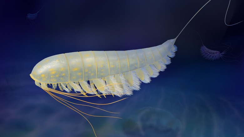 Life reconstruction of Lomankus edgecombei