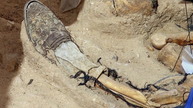 Skeleton foot with shoe on