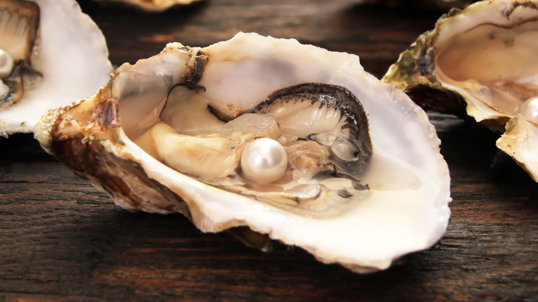 Open bivalve oyster with a white pearl