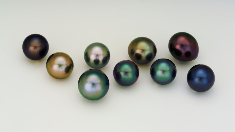 Tahitian pearls in dark colors on a white background