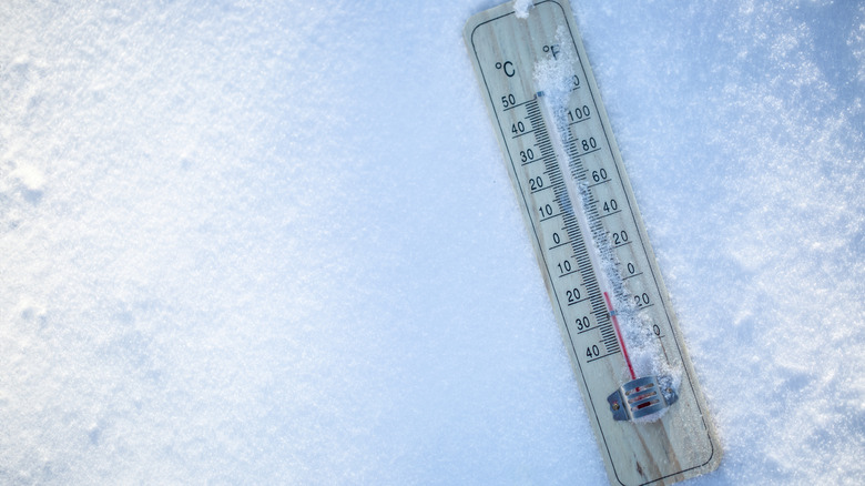 Thermometer laying in snow