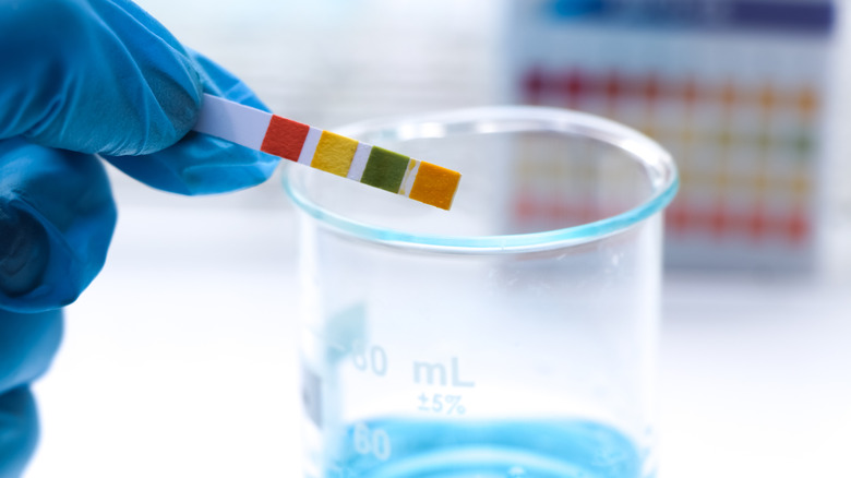 Hand holding pH indicator strip over beaker filled with blue liquid