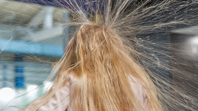 Back of Head - Static Hair