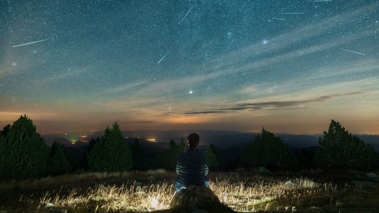 A person sitting in nature at night watching a meteor shower