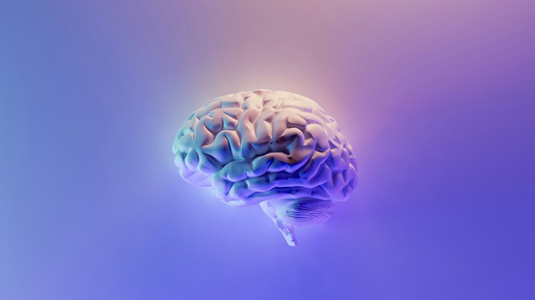 A digital rendering of a brain in shades of purple blue, and pink on a colorful background