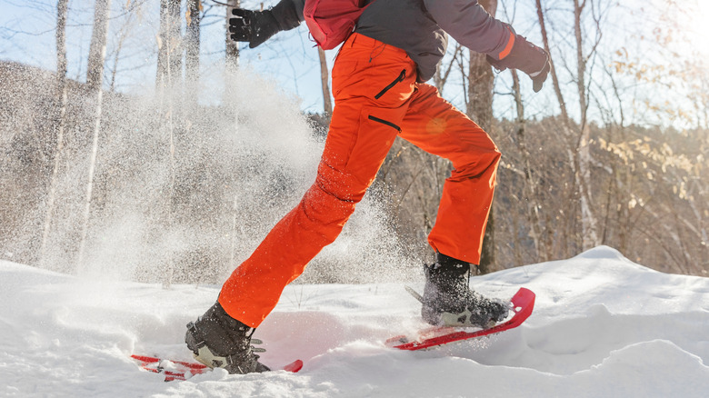 Person hiking with snowshoes