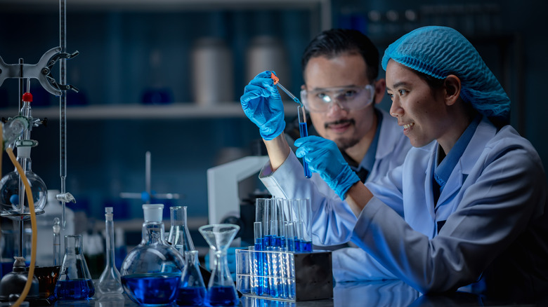 Scientists in a lab working with test tubes