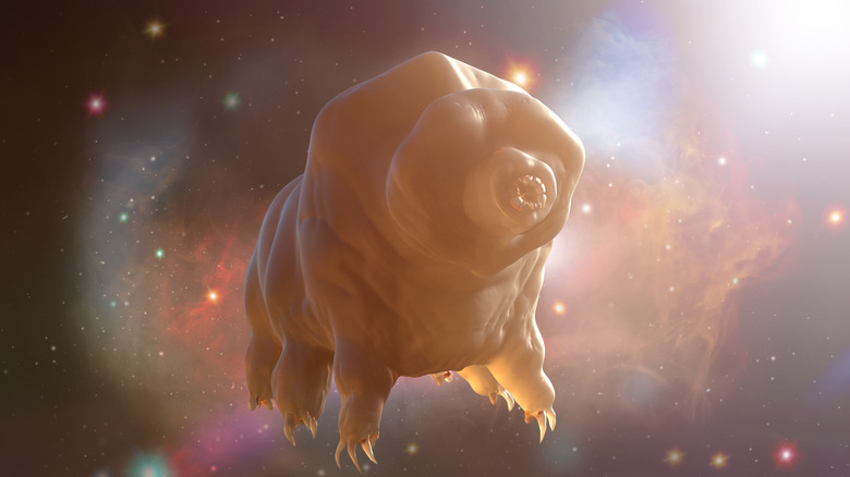 A 3D render of a tardigrade against a background of space