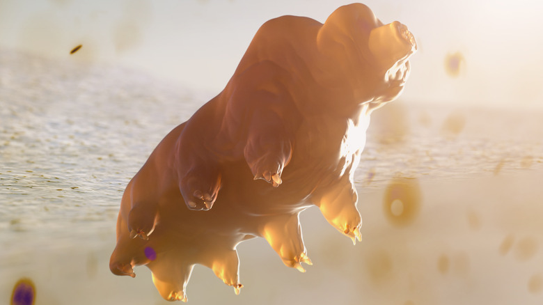 A 3D render of a tardigrade