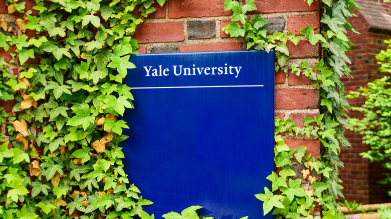 Yale University sign with ivy