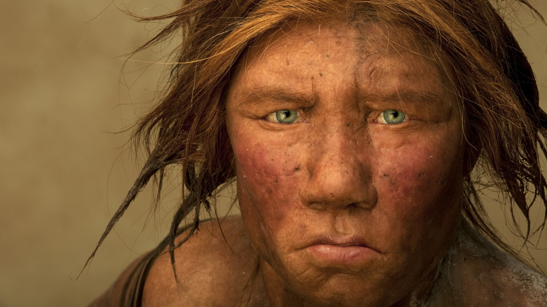 Recreated likeness of Neanderthal woman by Dutch artists using studied DNA and fossil anatomy