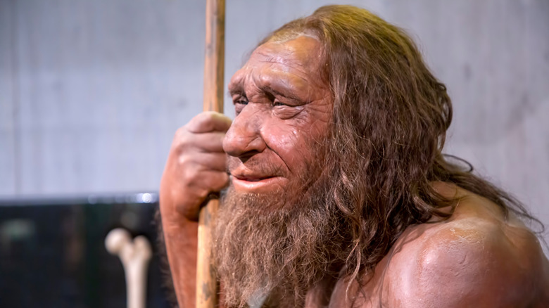 model of a Neanderthal male from Dusseldorf Museum