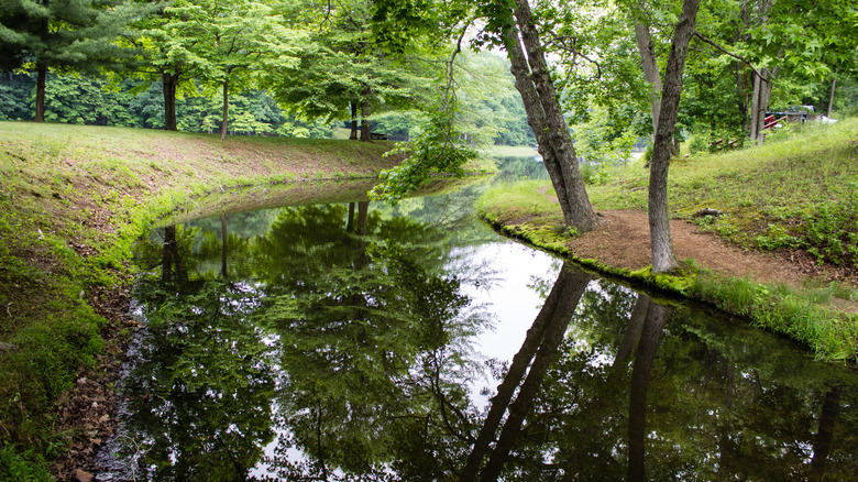 Trees reflect in the water of the Scioto river in Chillicothe Ohio