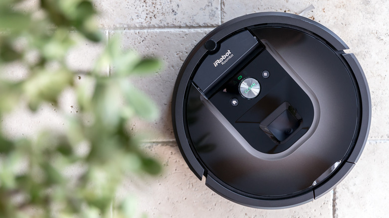 A Roomba (focused) vacuuming tile near a houseplant (unfocused)