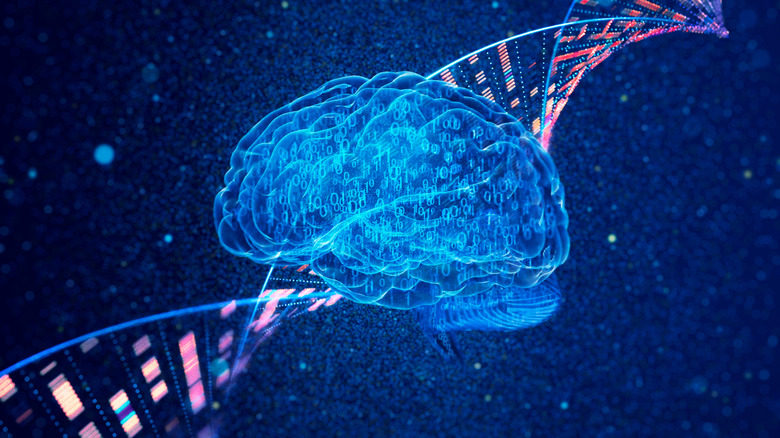 Vector of a brain and DNA sequence