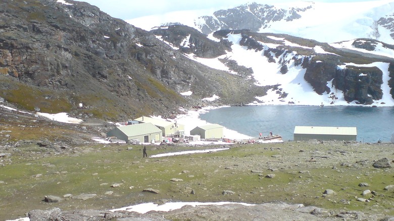 Stations in Factory Cove on Signy Island researching the increasing floral blooms in Antarctica