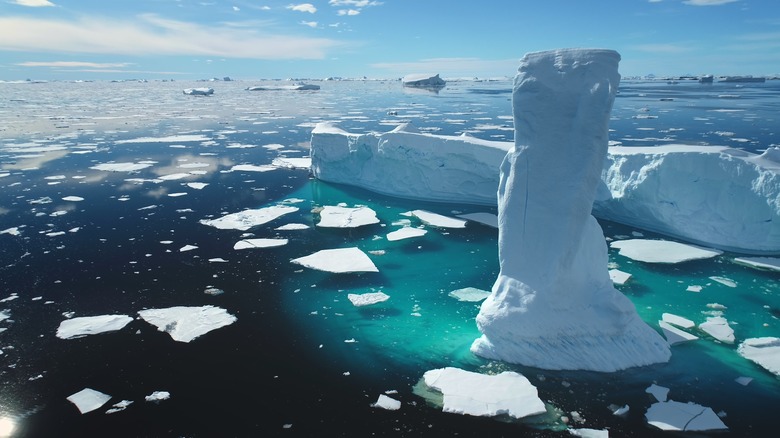 Icebergs in the Arctic