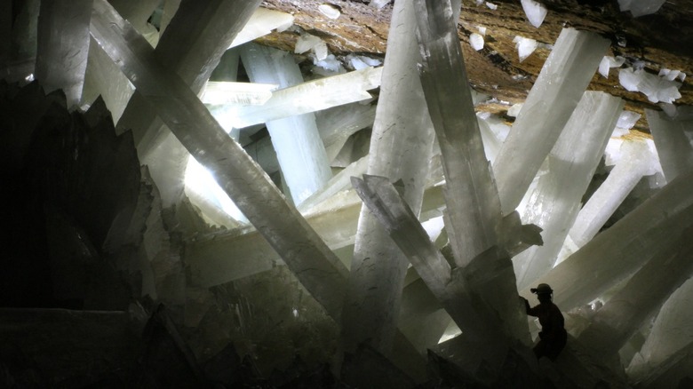 Giant Selenite crystals in cave with caver in foreground