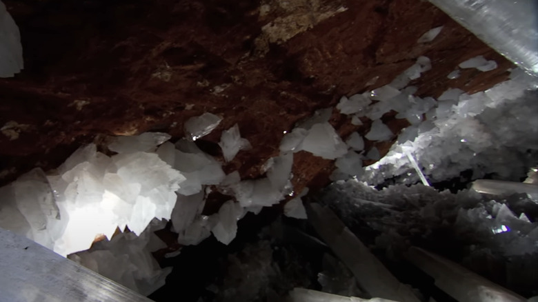 Clumps of Selenite Crystal line the walls of the Cave of the Crystals as seen in the BBC's How Earth Made Us