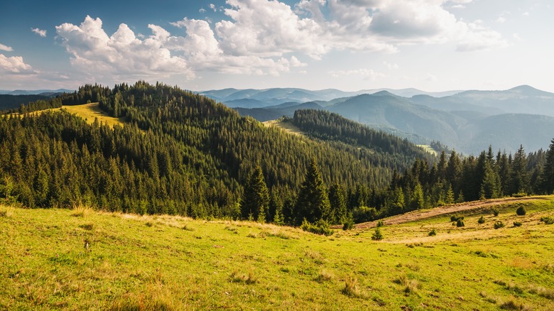 A landscape in Europe features hills and forests