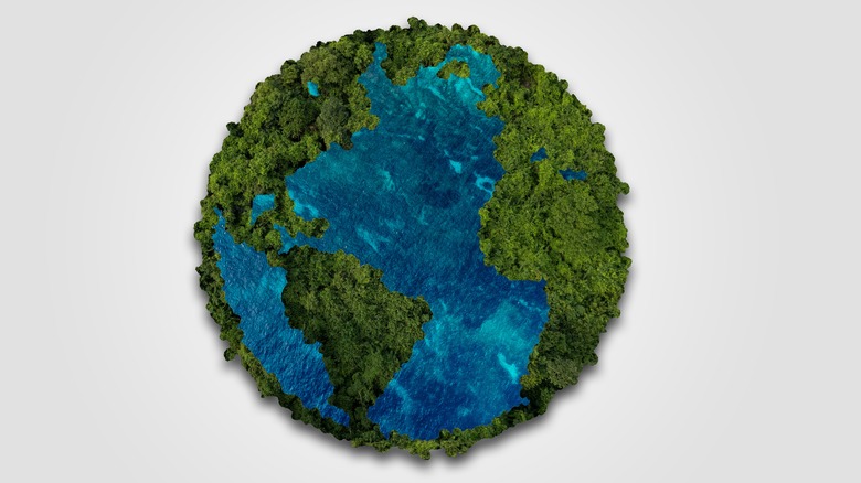 A model of Earth has excess vegetation