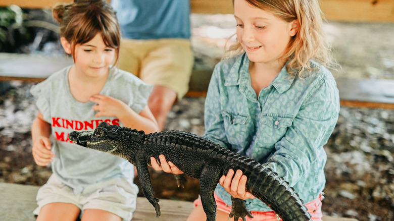 children holding baby alligator