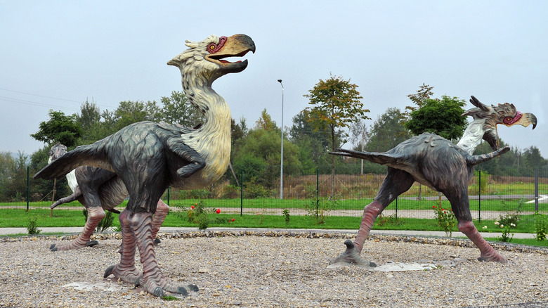 Two statue recreations of giant terror birds with massive legs and sharp, pointed beaks