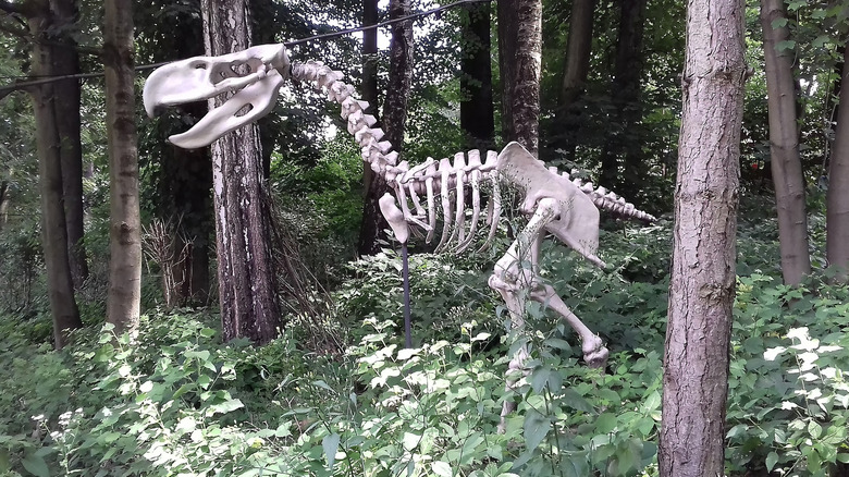 An artificial skeleton of a giant bird with a massive beak standing in a forest