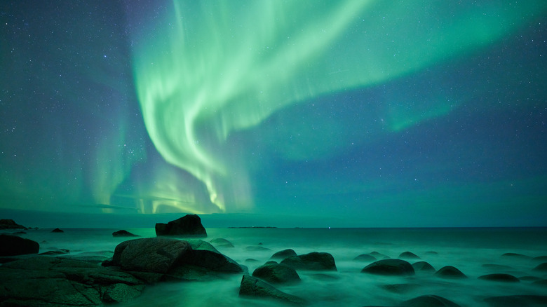 Bands of green light in the night sky above rocks on the shore