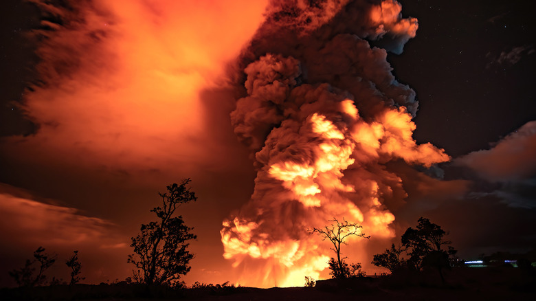 Plumes of smoke light by crimson light with silhouetted trees in the foreground