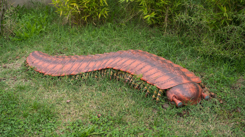 A model of an Arthropleura is shown in the grass