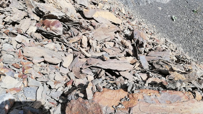 A stack of grey rocks containing siderite is seen on slanted ground